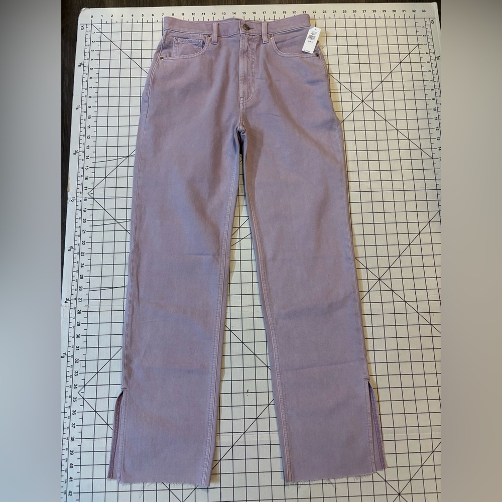 NWT GAP Women’s Size 26/2R Lavender 90s Loose High Rise‎ Jeans